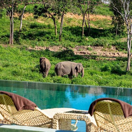 Wild Cottages Elephant Sanctuary Resort Amphoe Koksamui エクステリア 写真