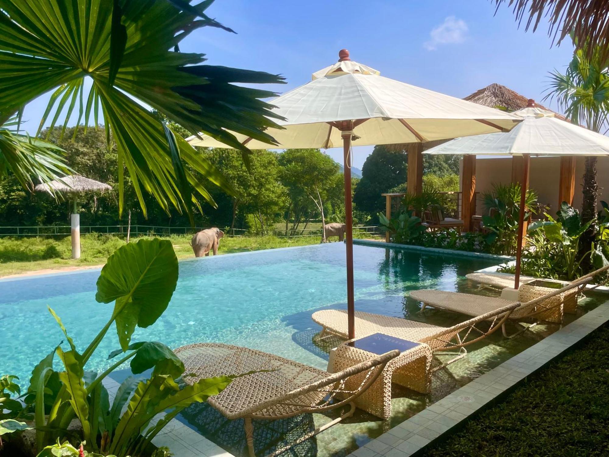 Wild Cottages Elephant Sanctuary Resort Amphoe Koksamui エクステリア 写真