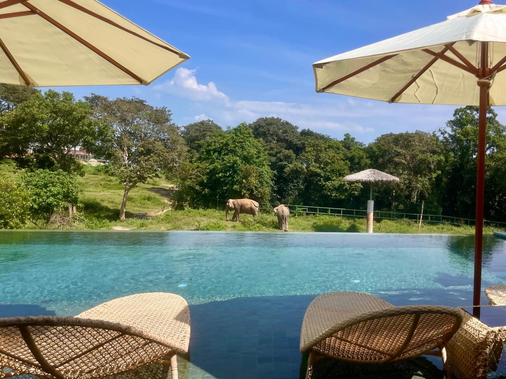 Wild Cottages Elephant Sanctuary Resort Amphoe Koksamui エクステリア 写真